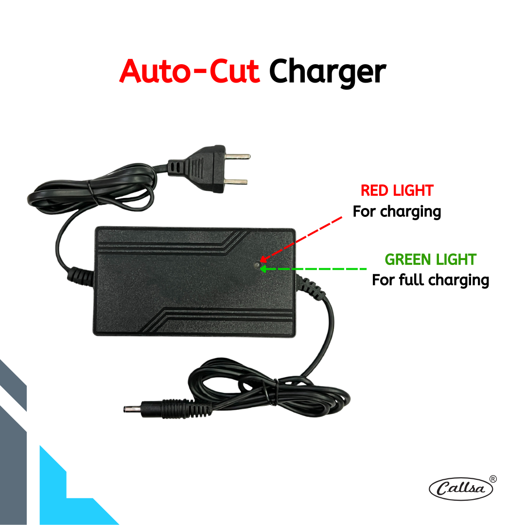 CALLSA 24V 3Amp Fast Battery Charger with Auto-Cut Off for Lead