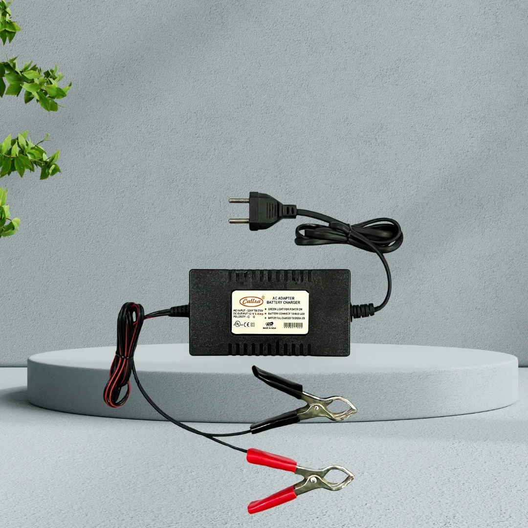 12V 5A battery charger