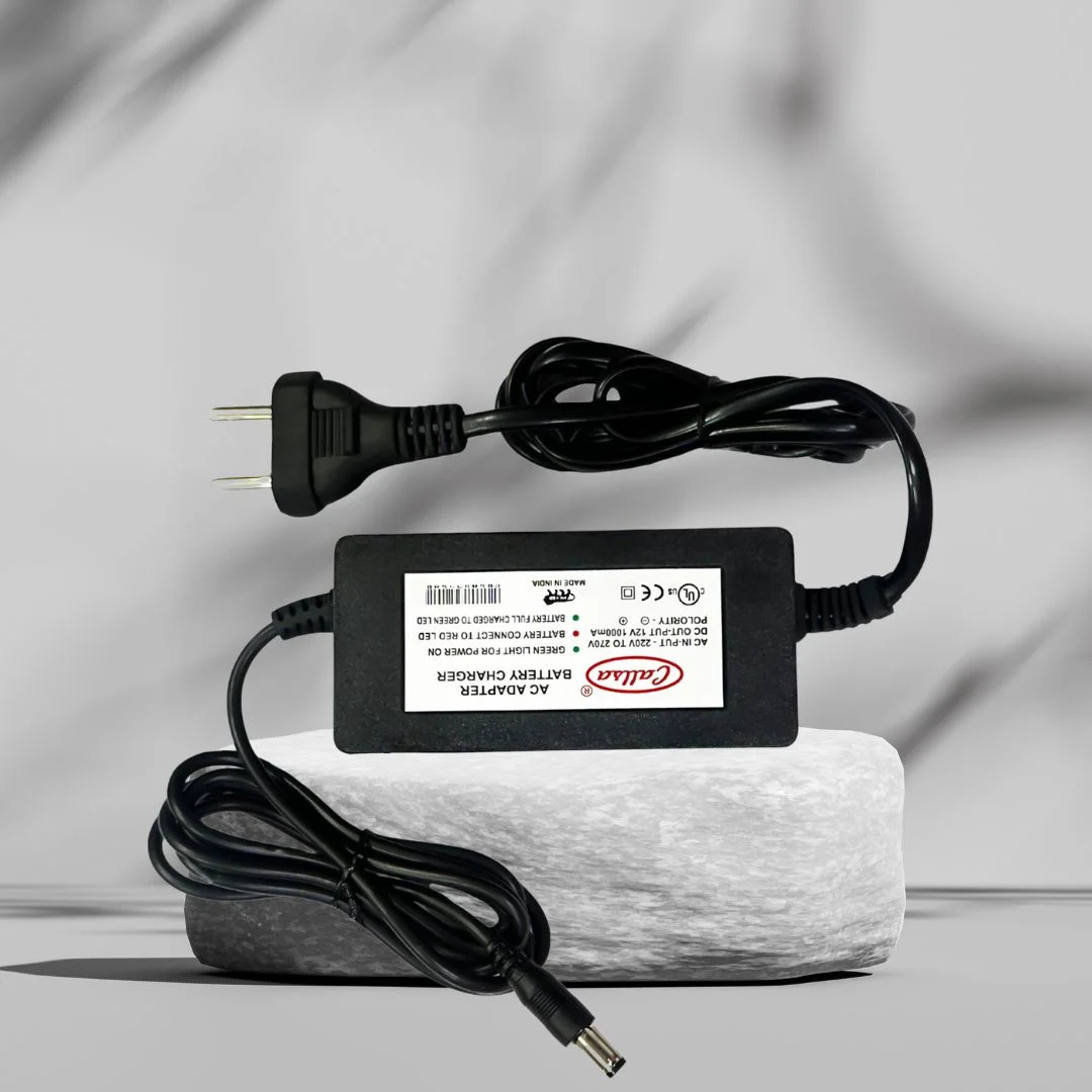 12V 1A Charger for Kids’ Toys