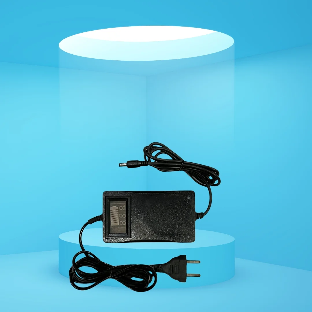12V Percentage Display Battery Charger Common Fixes 