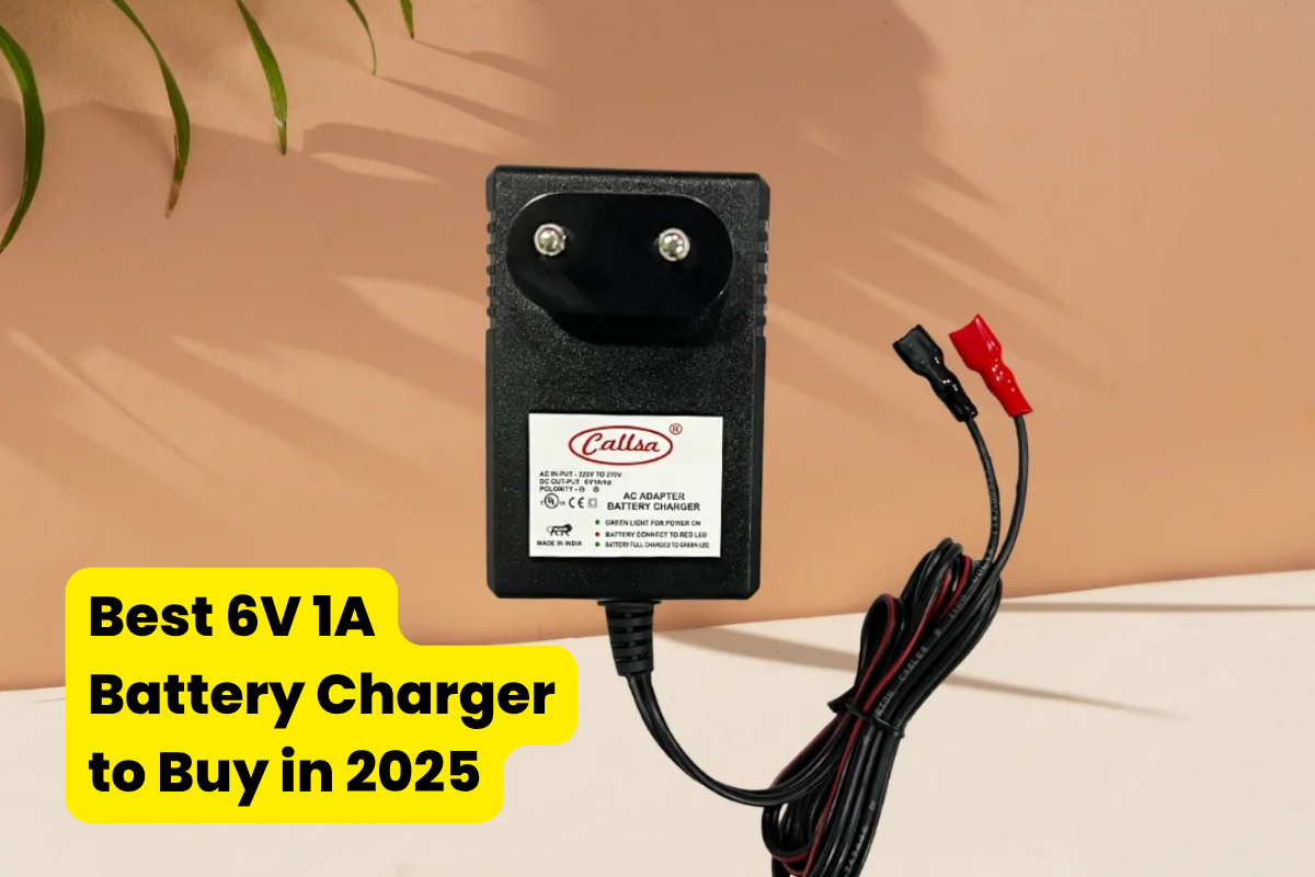Best 6V 1A Battery Charger to Buy in 2025
